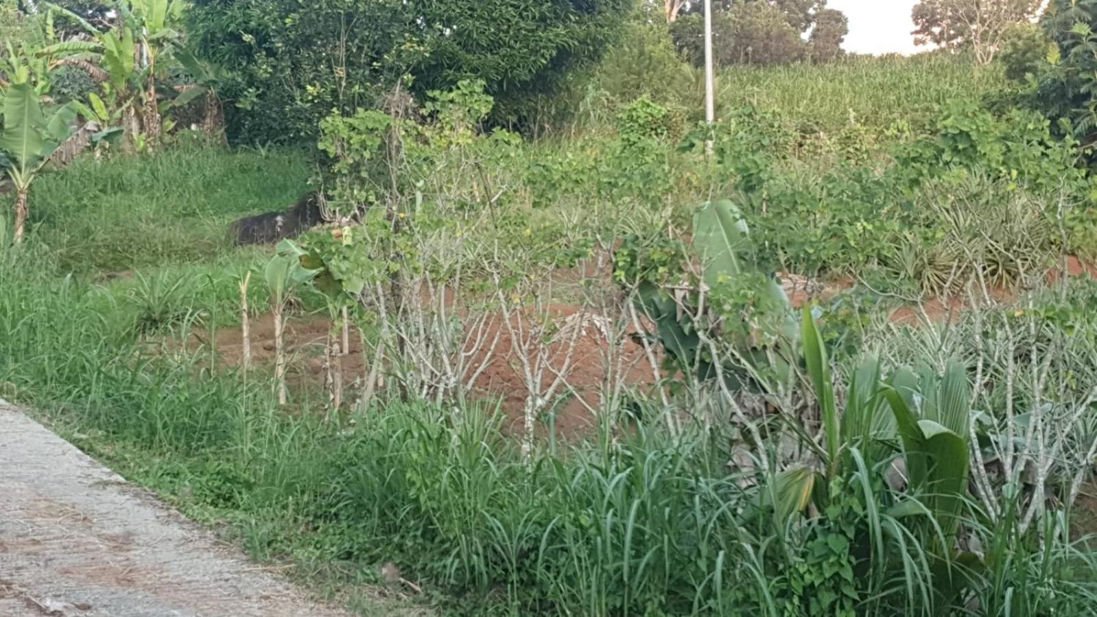 Villa Les Mahoganys Riviere-Salee المظهر الخارجي الصورة
