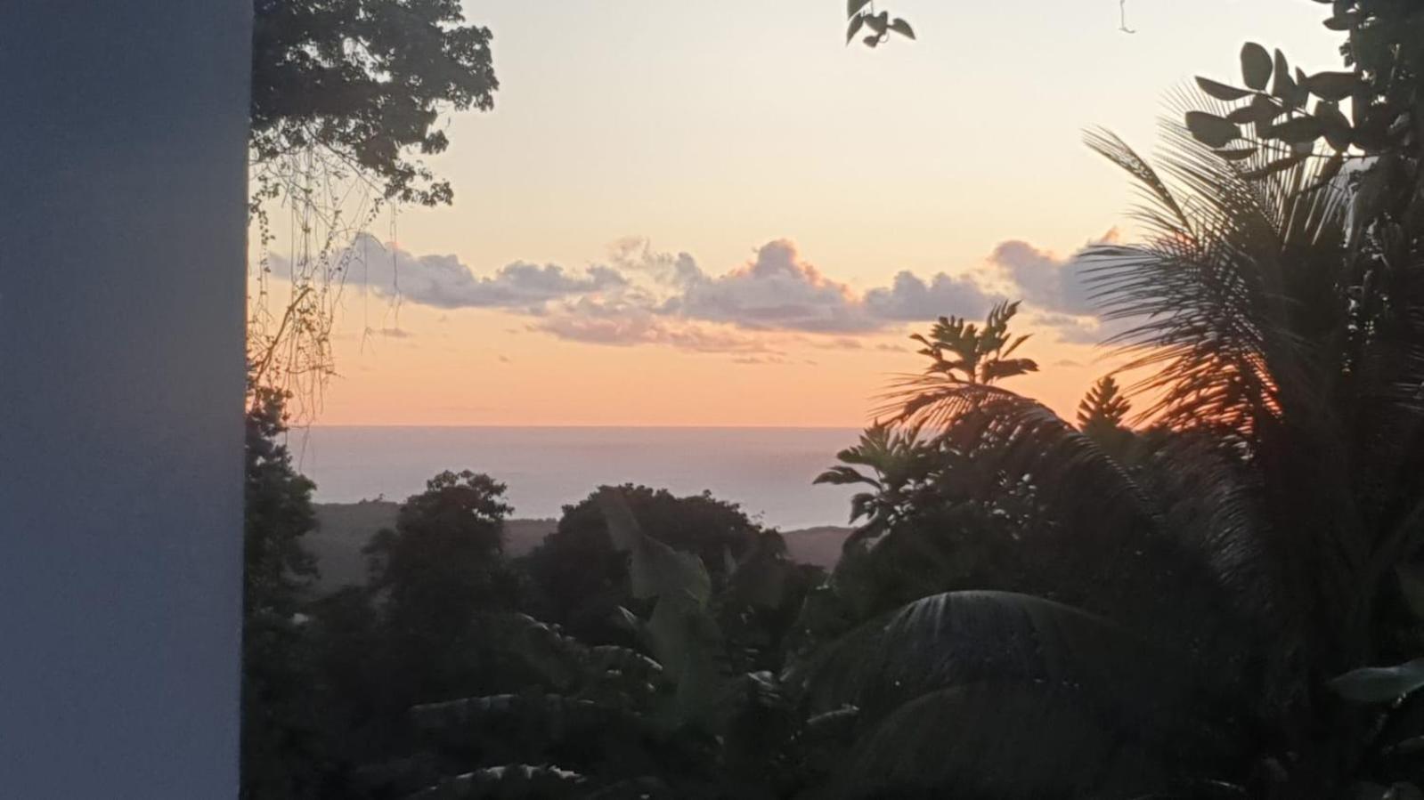 Villa Les Mahoganys Riviere-Salee المظهر الخارجي الصورة