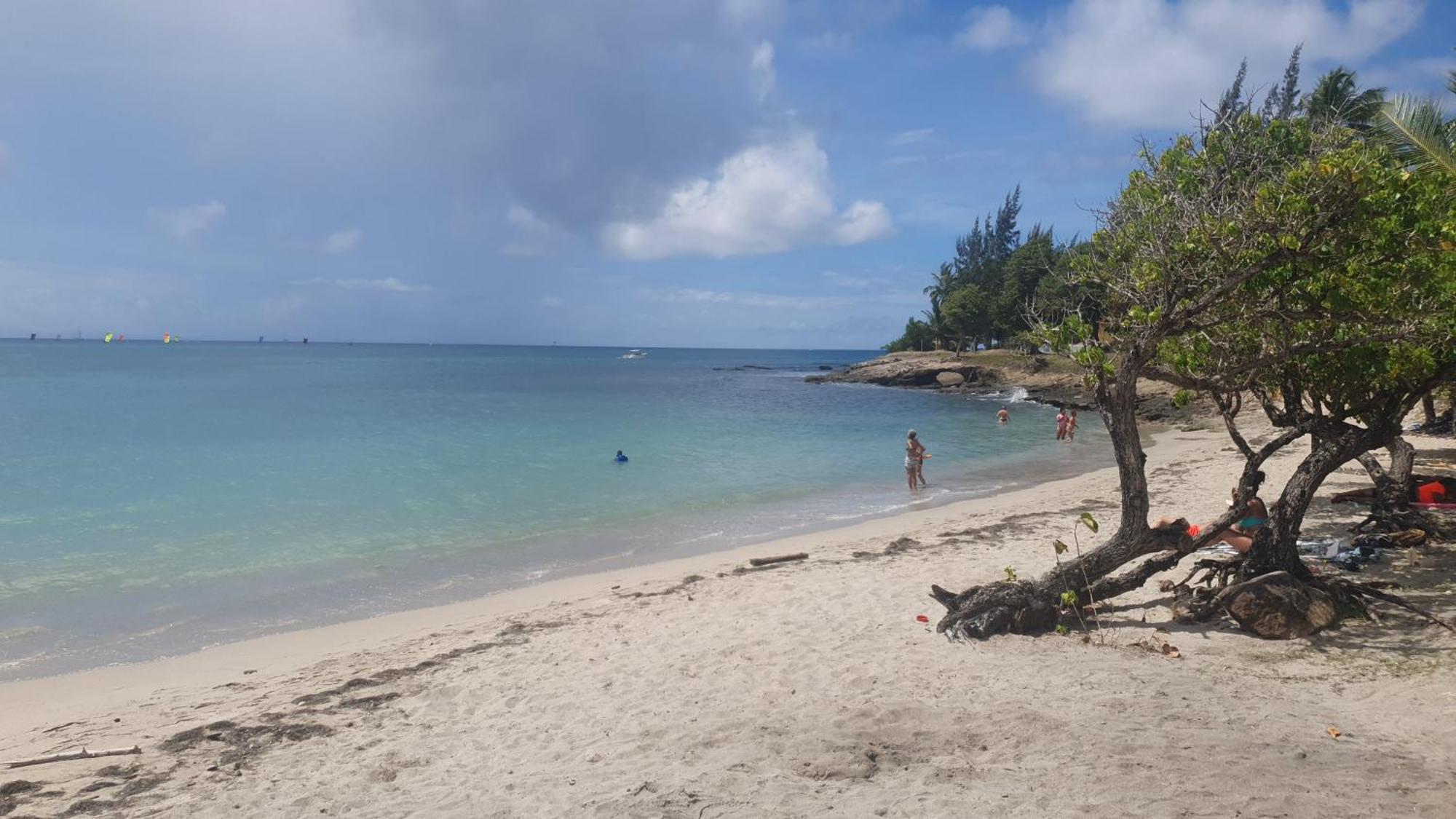 Villa Les Mahoganys Riviere-Salee المظهر الخارجي الصورة